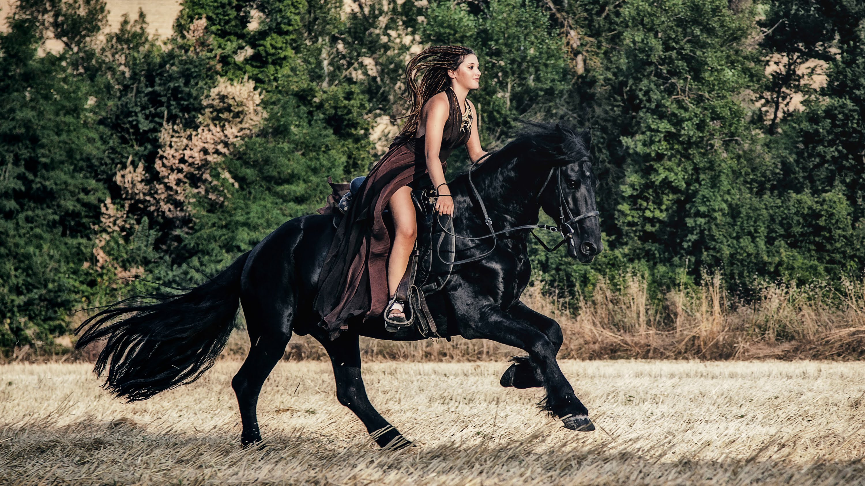 woman riding friesian